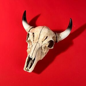 Fake deer skull wall or table western decor